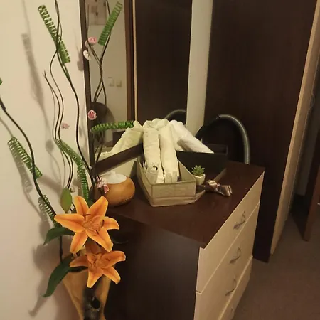 Apartment Radost Grand Monastery